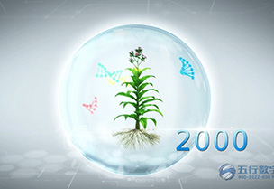云南烟草图位克隆汇报片